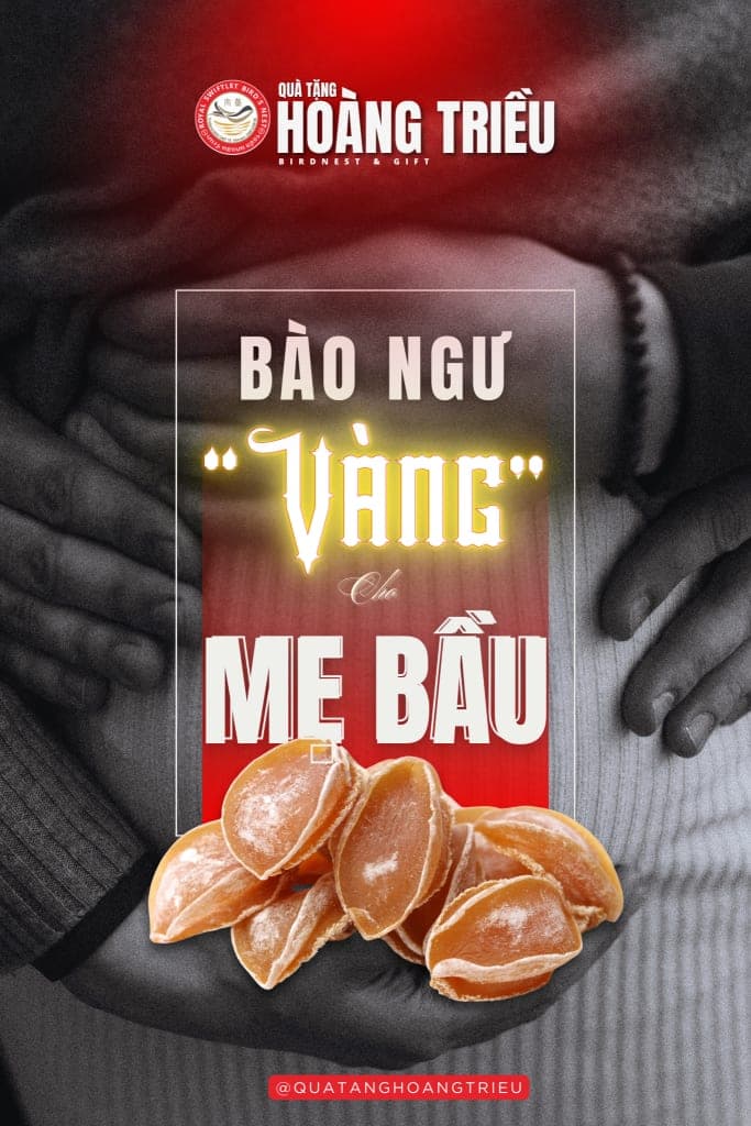 BÀO NGƯ – DINH DƯỠNG VÀNG CHO MẸ BẦU