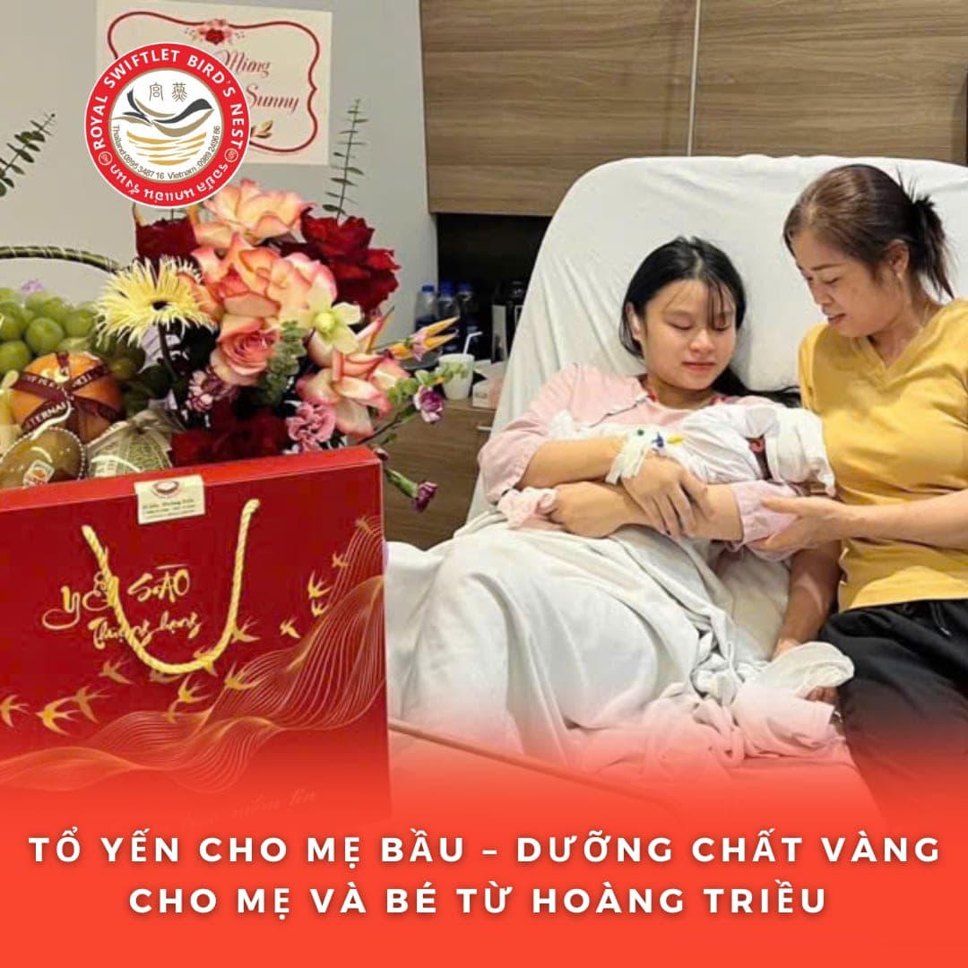 Tổ Yến Cho Mẹ Bầu – Dưỡng Chất Vàng Cho Mẹ Và Bé Từ Hoàng Triều (Bắc Ninh)