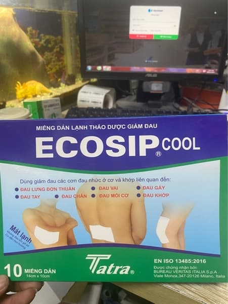 Ecosip cool h/2 gói X5 miếng 2