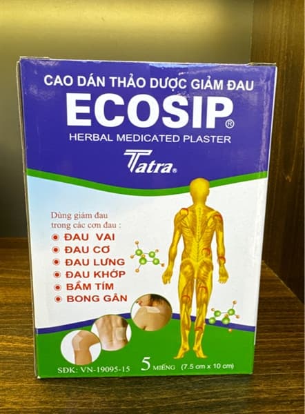 Cao dán Ecosip 2