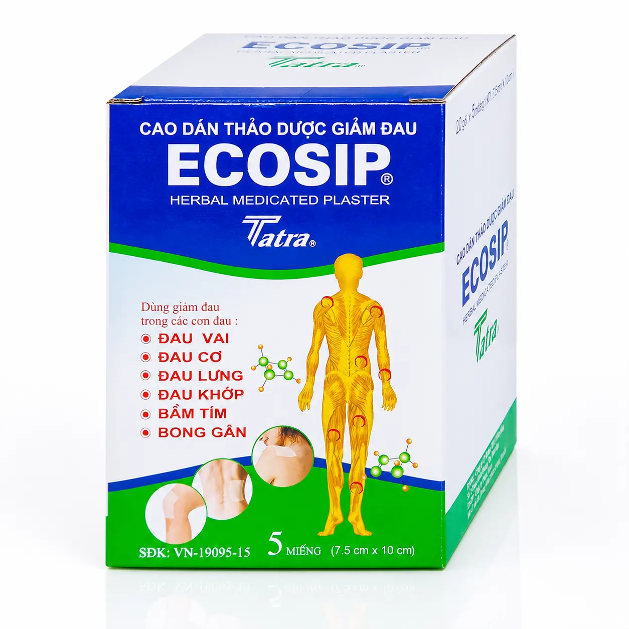 Cao dán Ecosip